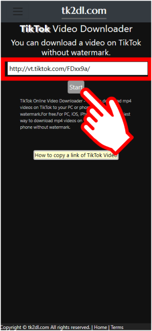 TikTok Video Downloader Online